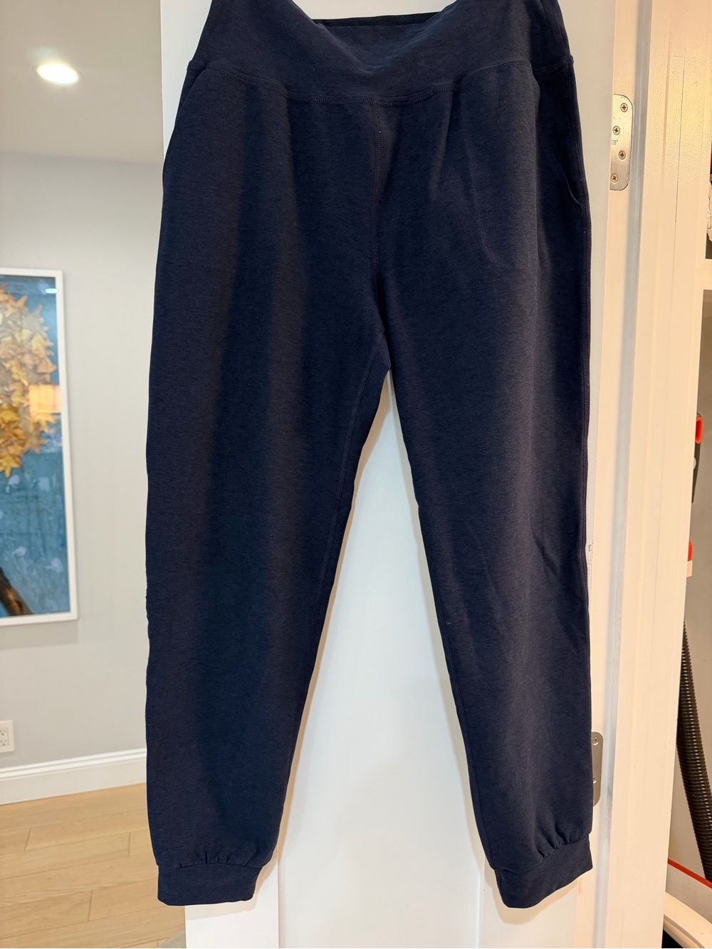Beyond Yoga joggers